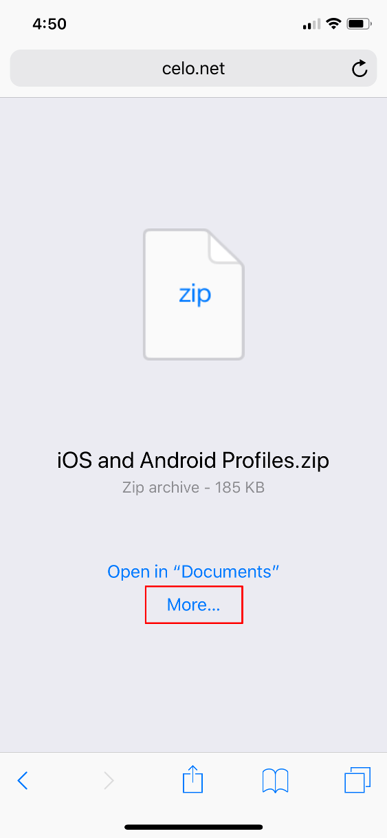 ios-openvpn-more