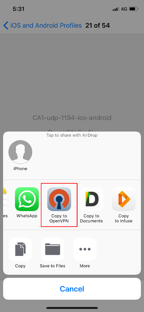 ios openvpn open with openvpn connect