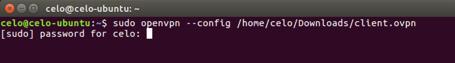 linux openvpn terminal