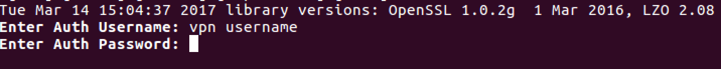 linux terminal openvpn username and password