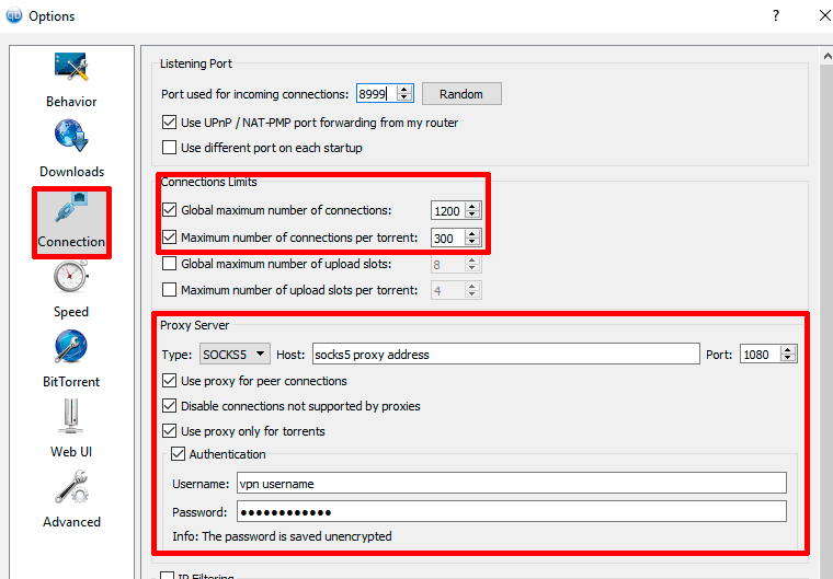 qbittorrent connection settings