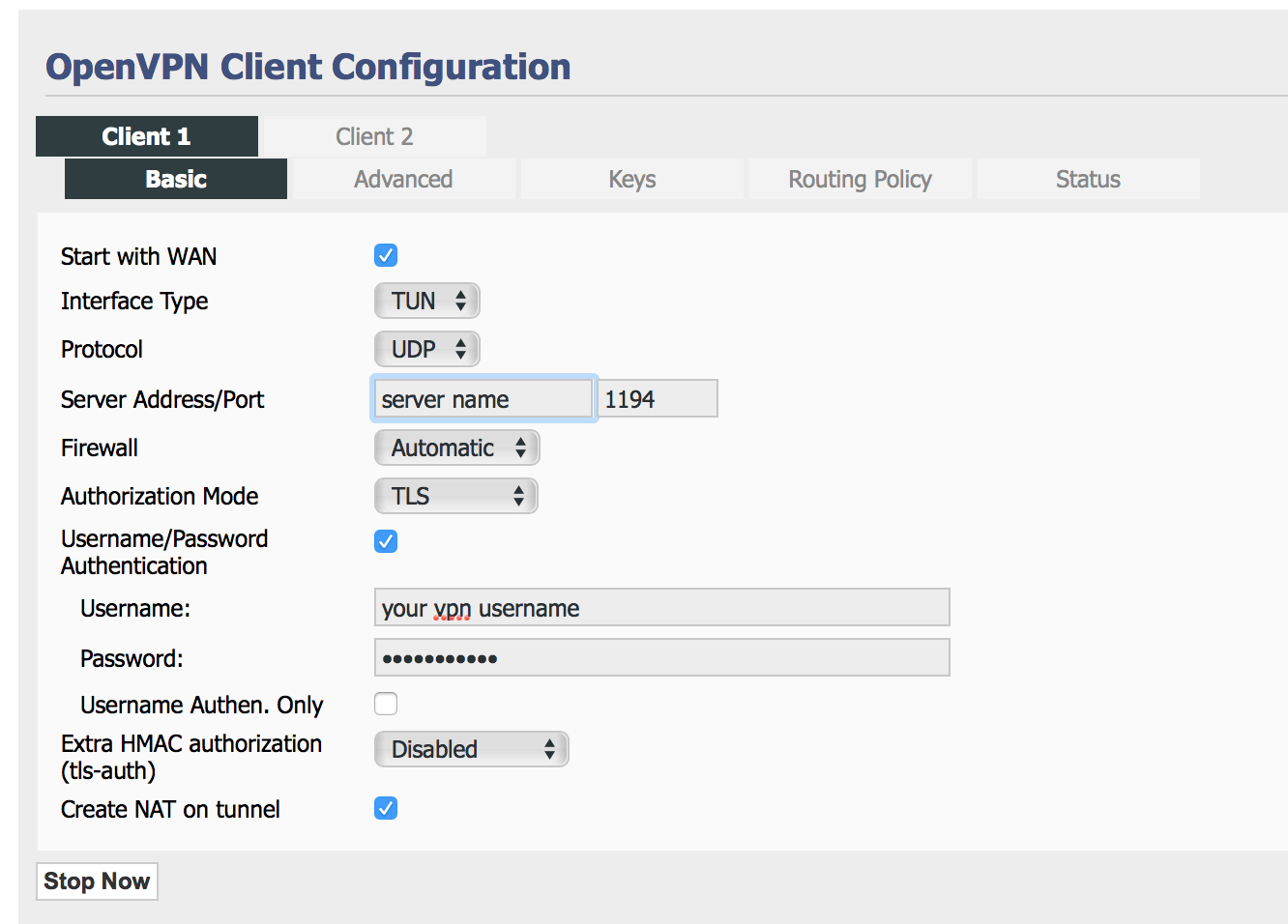 openvpn client basic settings